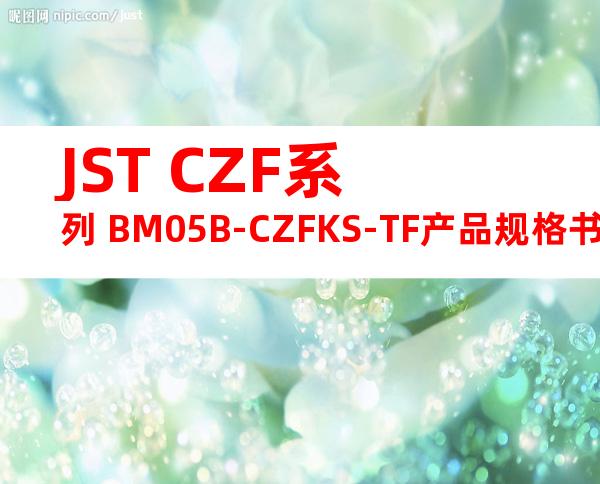 JST CZF系列 BM05B-CZFKS-TF产品规格书